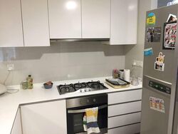 The Lakefront Residences (D22), Condominium #559230251